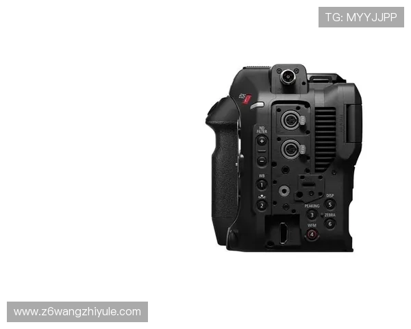 尊龙z6国际版官网常见问题解答与用户体验优化建议