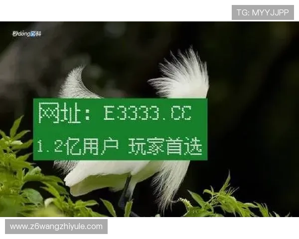 解析凯时网站在在线娱乐市场中的优势与特色服务方式